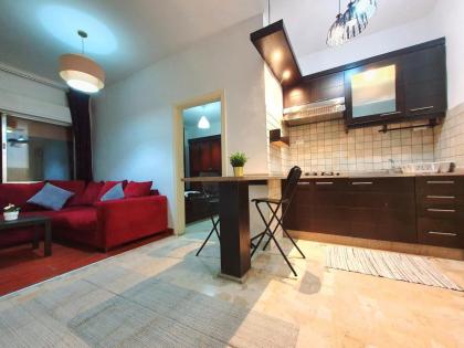 Lovely One Bedroom Apartment in Amman - image 16